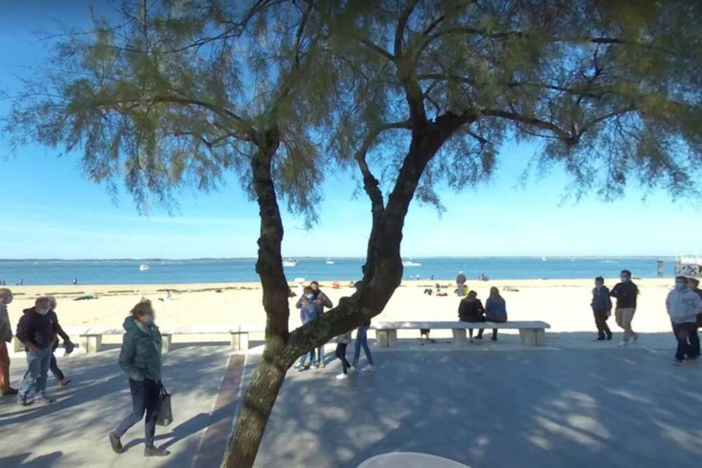 T2 Full Centre At 7 Min From The Beach Arcachon Exteriér fotografie